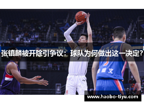 张镇麟被开除引争议：球队为何做出这一决定？